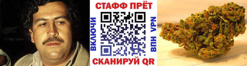 Купить наркотики цена Светлогорск Галлюциногенные грибы Меф Бошки Шишки Alpha-PVP