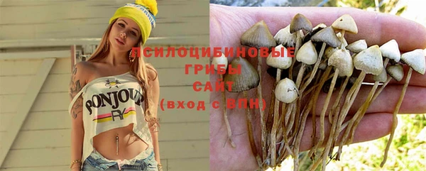 соль курить ск Богородицк