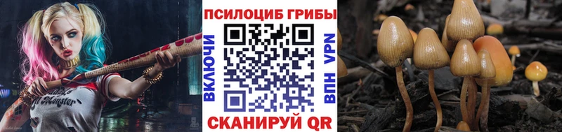 Галлюциногенные грибы MAGIC MUSHROOMS  shop клад  Светлогорск  ссылка на мегу как зайти 